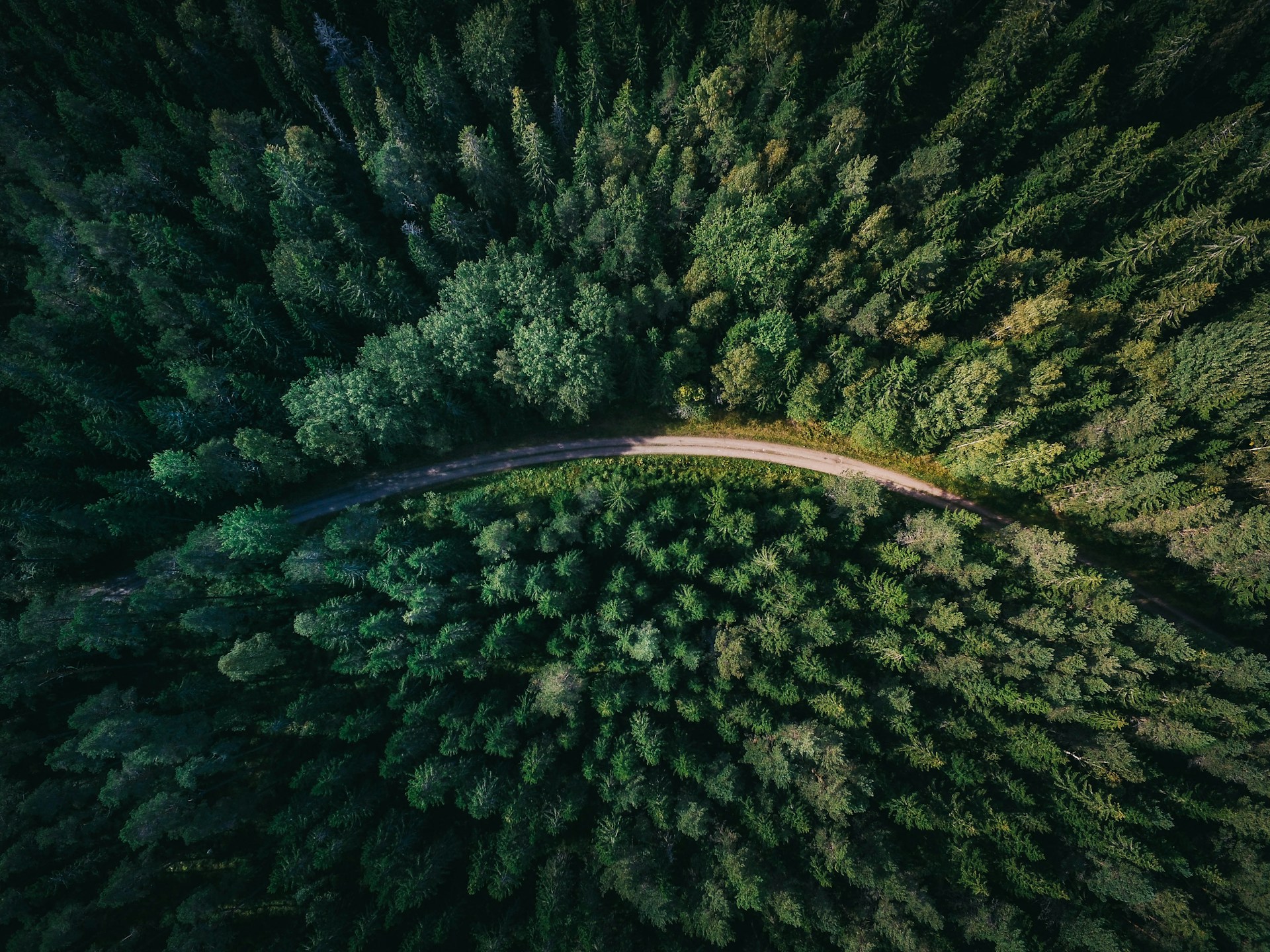 Route traversant la forêt vue du ciel