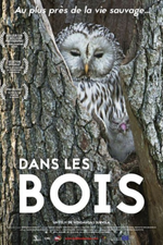 Dans les bois