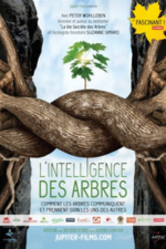 L'intelligence des arbres