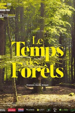 Le temps des forêts