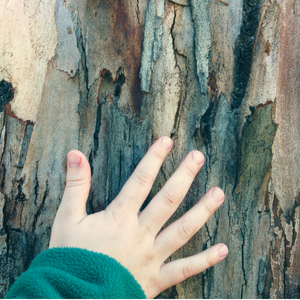 Main sur un tronc d'arbre