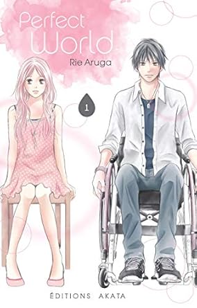 Couverture du livre Perfect World