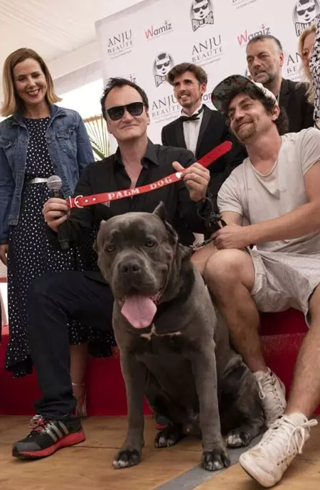 Quentin Tarantino entouré d'acteurs et d'actrices assis devant un chien noir