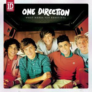 Pochette du CD des One direction