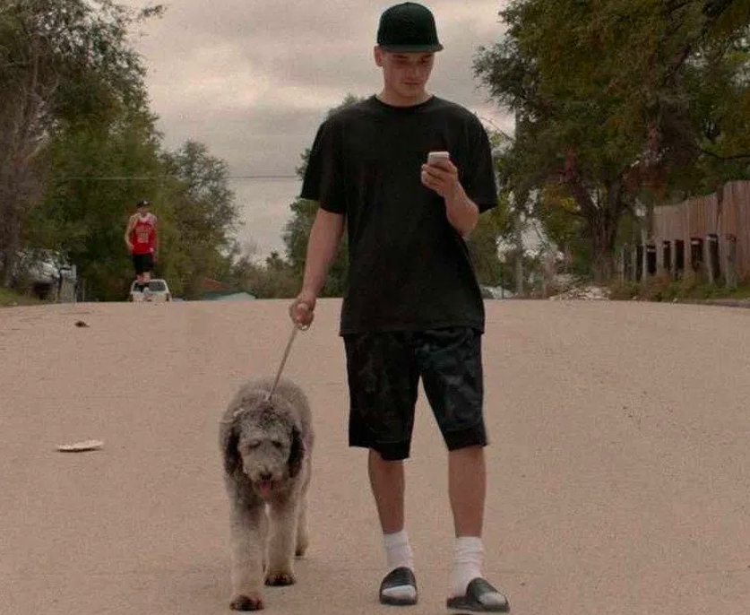 Un jeune homme promène un chien gris dans la rue 