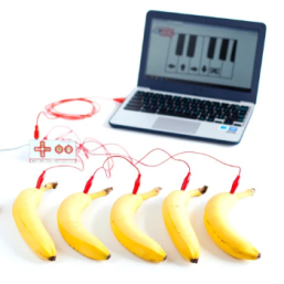 bananes reliées à un ordinateur
