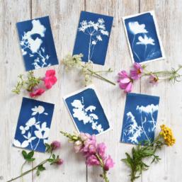 Dessins en cyanotype