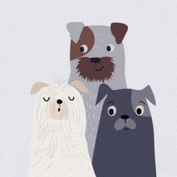 animation Histoire animée 