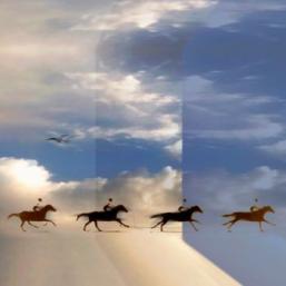 animation Jeux d’optique