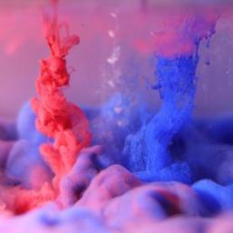 animation L’univers dans un bocal