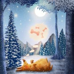 animation Dans la nuit
