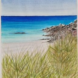 animation Partage des savoirs : œuvres aquarelles
