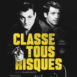Affiche du film Classe tous risques