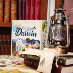 Détails sur l'animation Faites vos jeux spécial Histoire