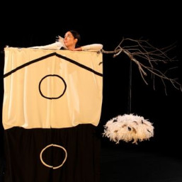 détails sur le Spectacle La Pie niche Niôniba 