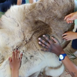 détails sur l'Atelier parents enfants Le voyage d'Ayla