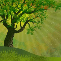 détails sur la Projection Histoires animées spéciales Nature