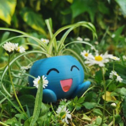 Détails sur l'atelier numérique Création d’accessoires de jardin