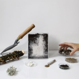 détails sur l'atelier Création de bougeoirs en mycélium