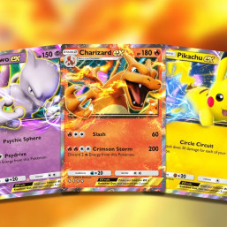 détails sur la session de Jeux vidéo découverte Pokémon