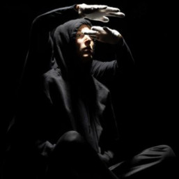 détails sur le Spectacle Portraits croisés, la comédie vusicale Multitude