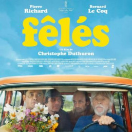 détails sur la projection Accessi'film Fêlés