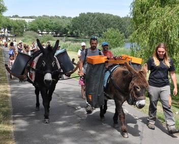 Déambulation avec deux ânes autour des lacs de Lognes