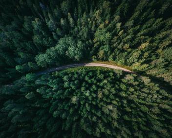 Route traversant la forêt vue du ciel