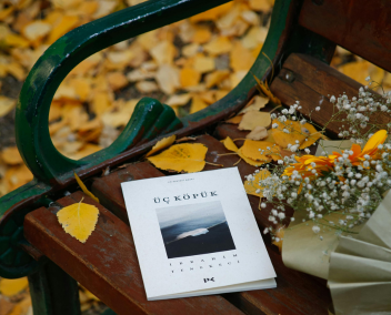 vers l'article sur les romances He/She falls first