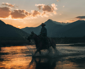 vers l'article sur les romances western