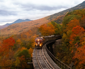 Train au milieu d'une forêt en automne