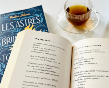 vers l'article sur les romans en vers libres