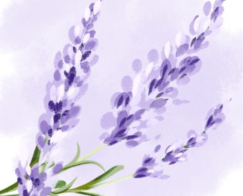 vers l'article sur les horaires des vacances de printemps