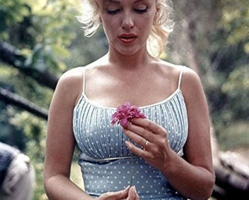 Lien vers l'article sur Marylin Monroe