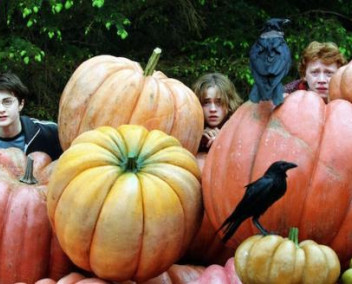 article sur Harry Potter