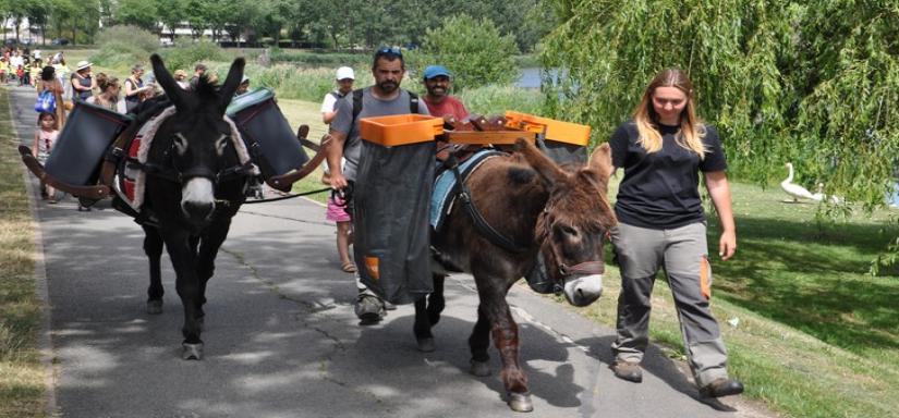 Déambulation avec deux ânes autour des lacs de Lognes